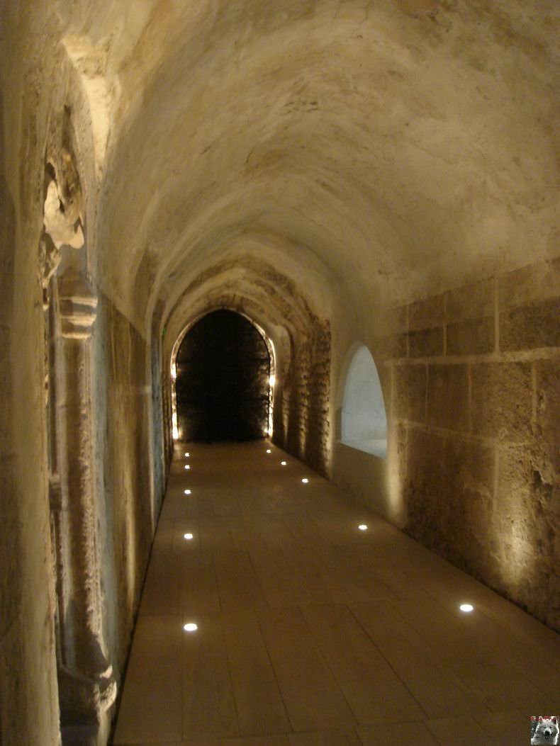 Le Musée de l'Abbaye - Donations Bardone-Genis - St-Claude 0023