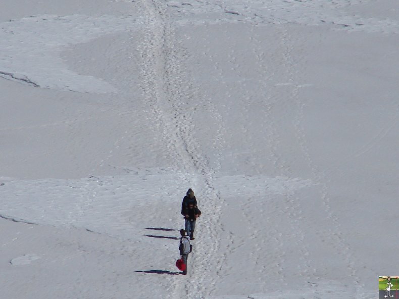 Pour la beauté des lieux et la richesse des images - Le toit des Alpes 0167