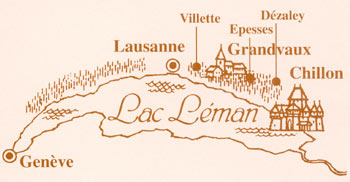Le vignoble côté Léman (VD) 0018