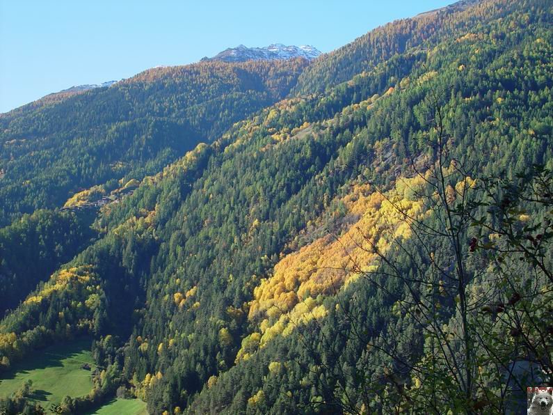 Le Val d'Annivier - Suisse - VS - 15 octobre 2005 0005