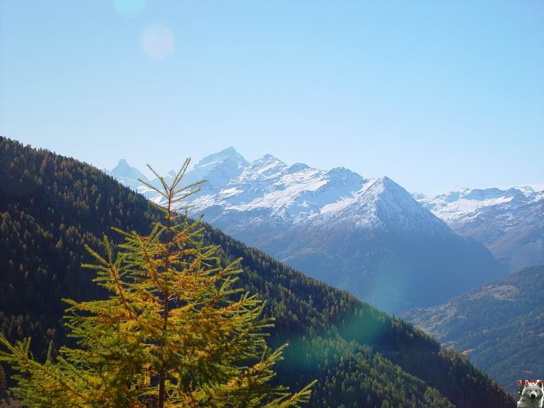 Le Val d'Annivier - Suisse - VS - 15 octobre 2005 0017