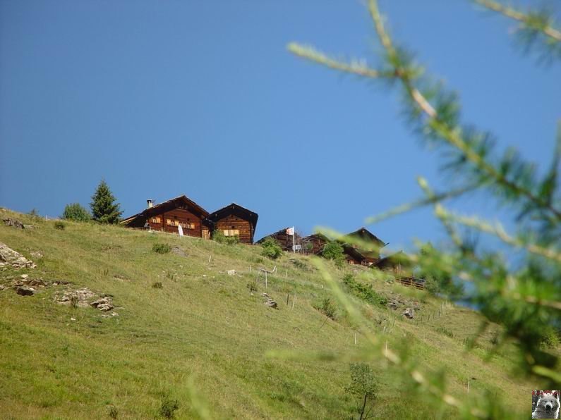 Le Val d'Hérens - Suisse - VS - 09 août 2005 0017