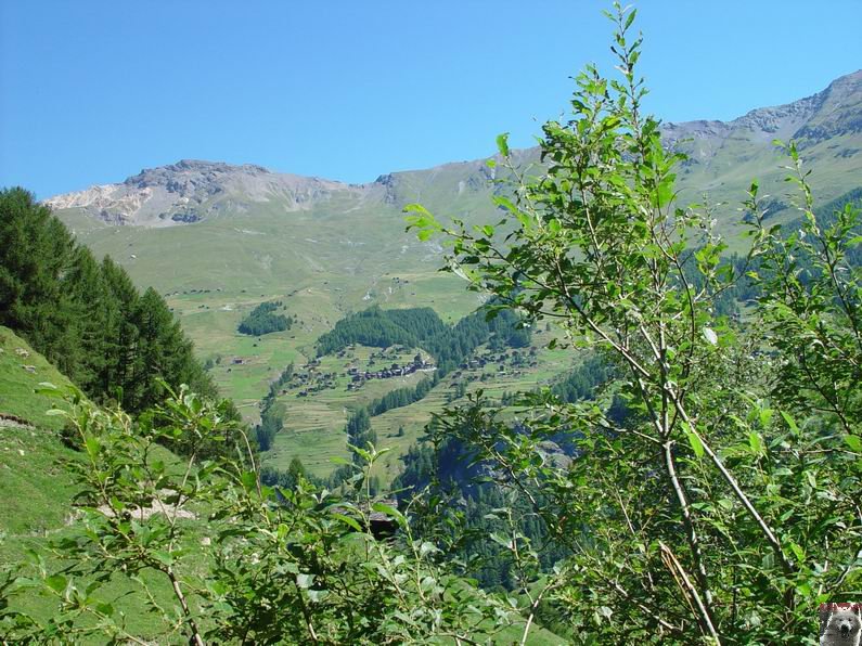 Le Val d'Hérens - Suisse - VS - 09 août 2005 0019