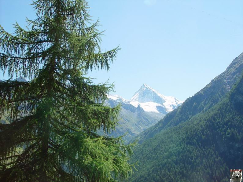 Le Val d'Hérens - Suisse - VS - 09 août 2005 0022