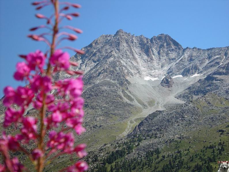 Le Val d'Hérens - Suisse - VS - 09 août 2005 0027