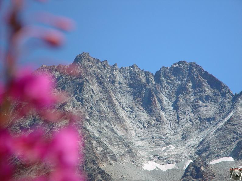 Le Val d'Hérens - Suisse - VS - 09 août 2005 0028